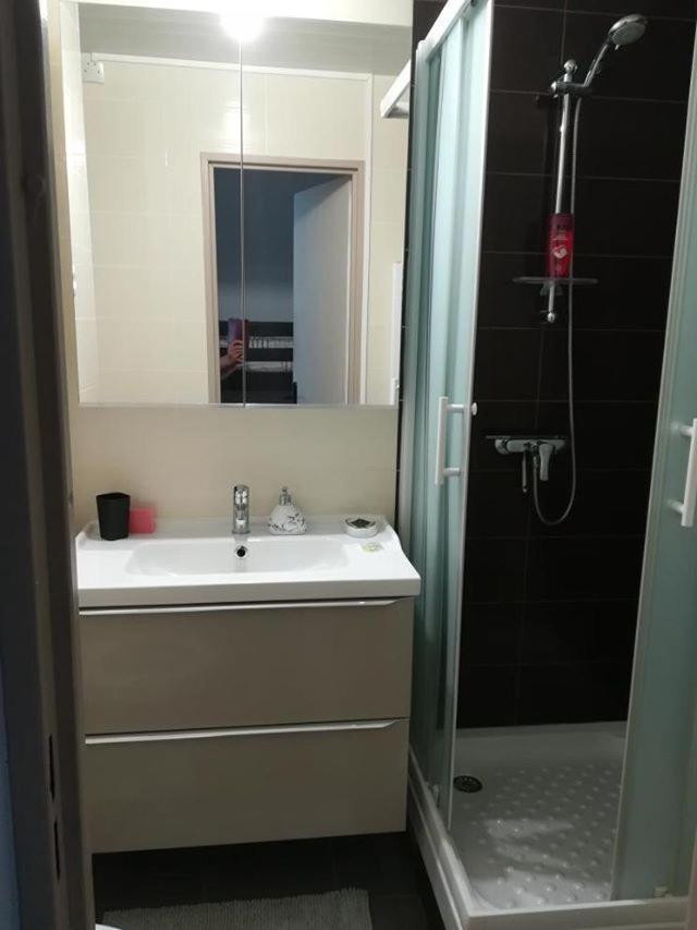 Studio Cabine Vue Port Avec Parking Prive, Piscine, Parc, Boulodrome Agde Exterior photo